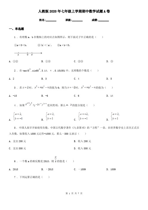 人教版2020年七年级上学期期中数学试题A卷精编