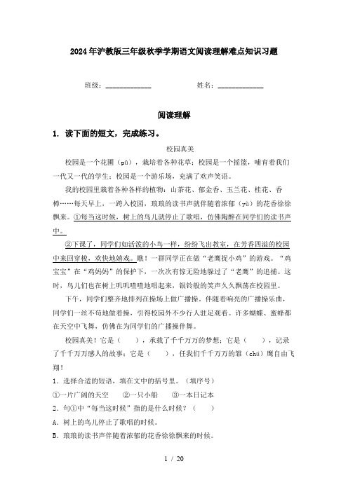 2024年沪教版三年级秋季学期语文阅读理解难点知识习题