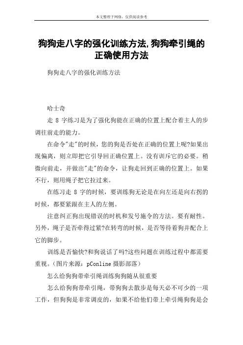 狗狗走八字的强化训练方法,狗狗牵引绳的正确使用方法