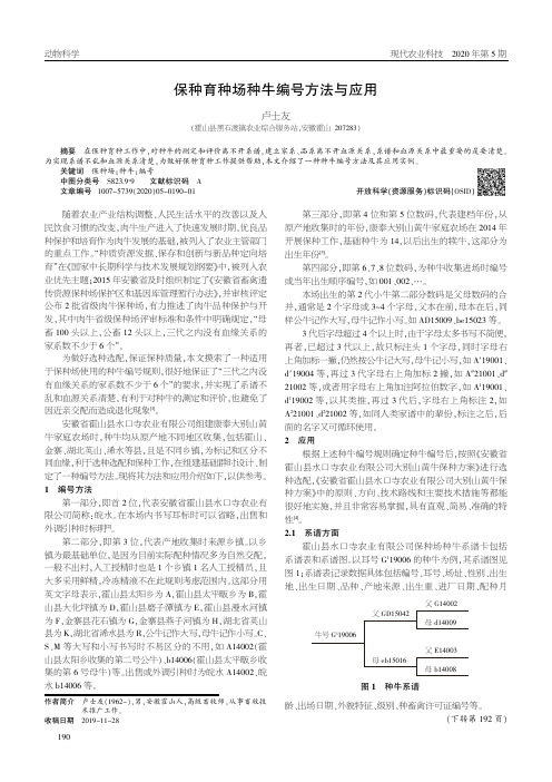 保种育种场种牛编号方法与应用