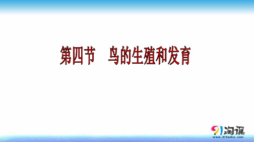 课件2：7.1.4鸟的生殖和发育