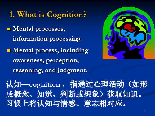 语言和认知.ppt