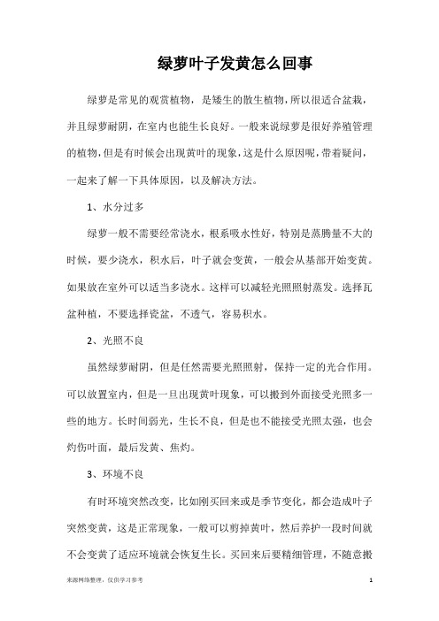 绿萝叶子发黄怎么回事