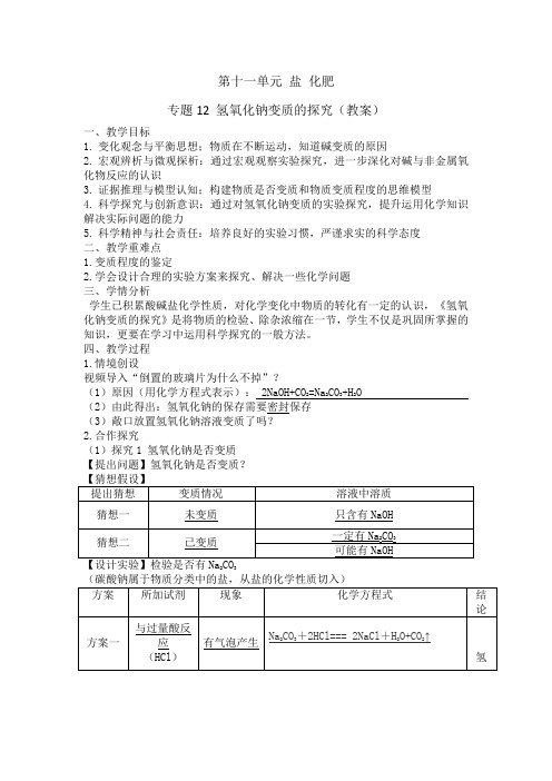 2024年中考化学二轮专题复习氢氧化钠的变质的探究教案