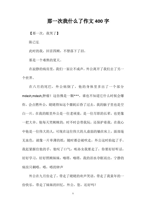 那一次我什么了作文400字