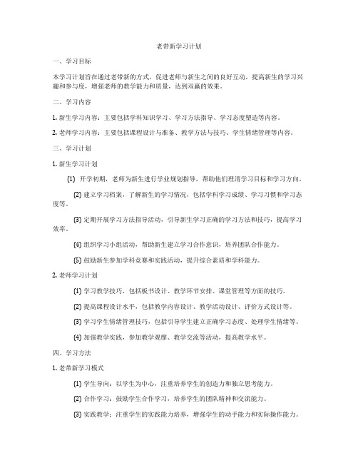 老带新学习计划