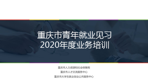 重庆市青年就业见习2020年度业务培训 PPT