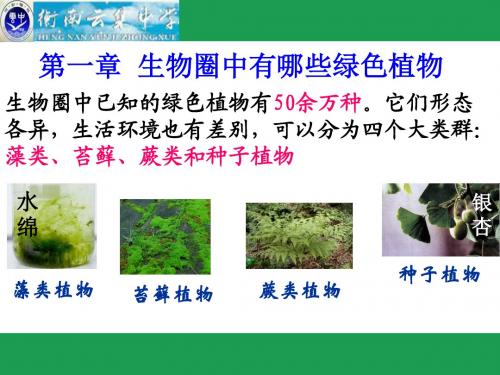 第一节 藻类、苔藓和蕨类植物 教学课件