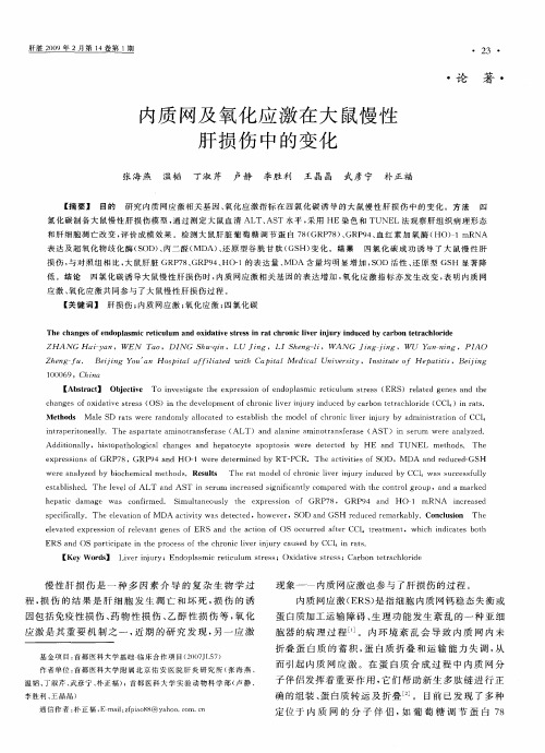 内质网及氧化应激在大鼠慢性肝损伤中的变化