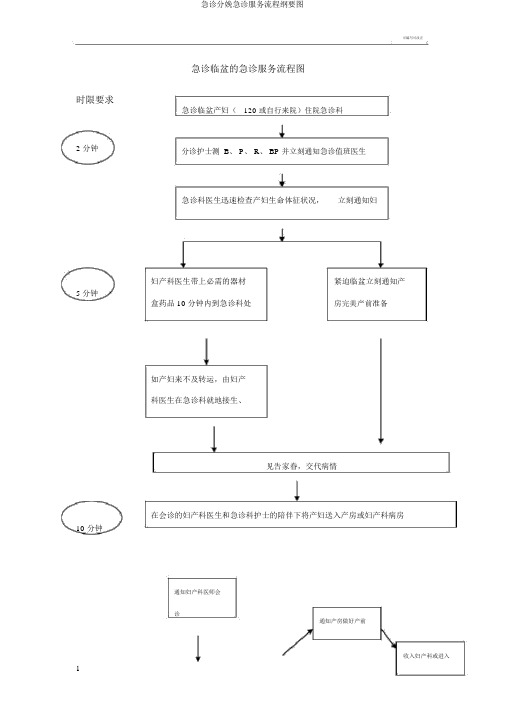急诊分娩急诊服务流程纲要图