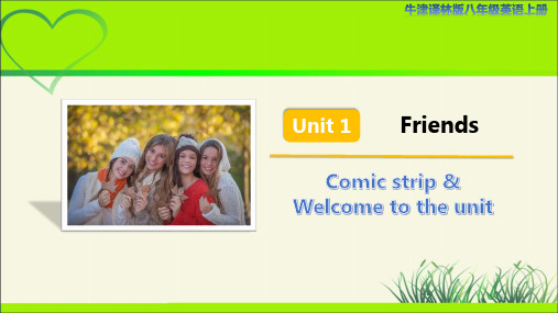 牛津译林版八年级英语上册Unit 1 Friends Comic strip示范公开课教学课件