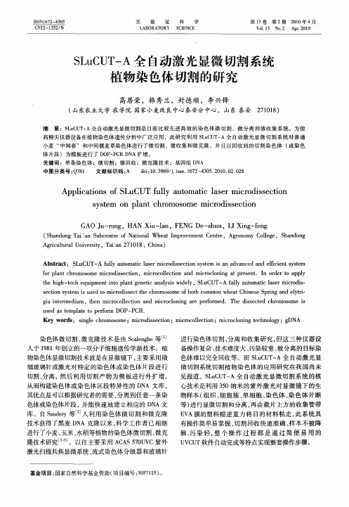 SLuCUT—A全自动激光显微切割系统植物染色体切割的研究