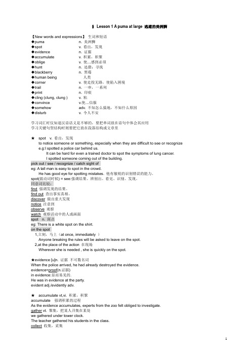 新概念英语第3册教案1--20课