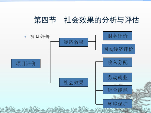 社会效果的分析与评估课件