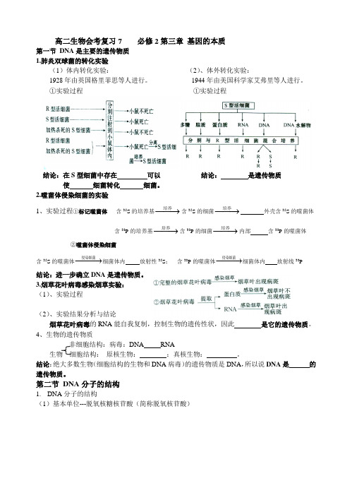 高二生物会考复习7 必修2第三章 基因的本质