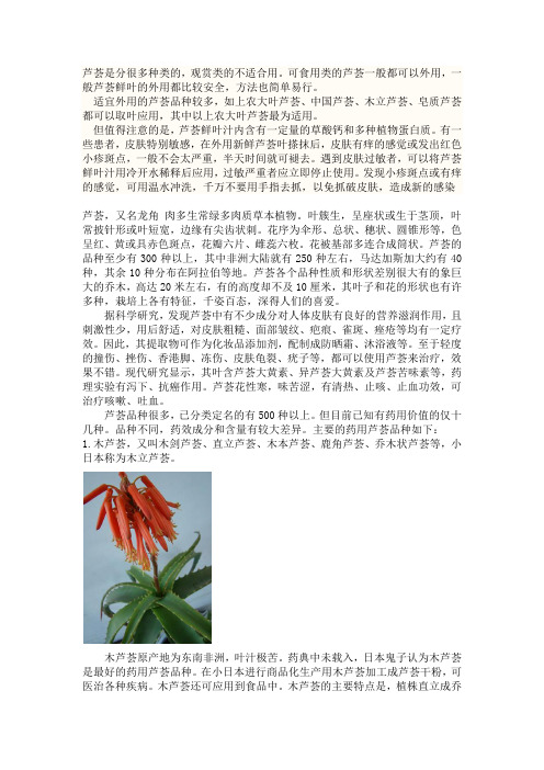 常见芦荟品种图片及相关简介