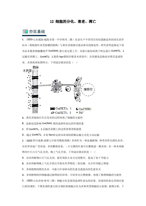 人教版2024年高考化学一轮复习《分层训练13 细胞的分化、衰老、凋亡》