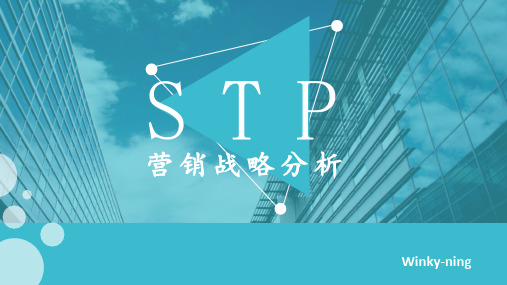 STP战略分析 ppt课件