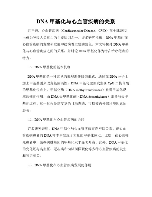 DNA甲基化与心血管疾病的关系