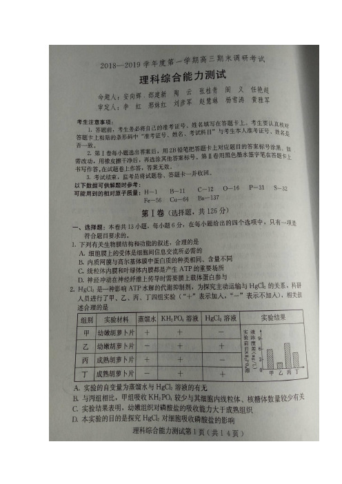 河北省保定市2020届高三上学期期末考试理科综合试题扫描版含答案