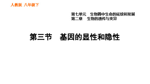 人教版八年级下册生物  第七章 7. 基因的显性和隐性课件