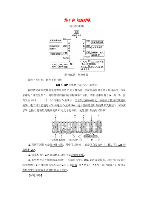 2025版高考生物一轮总复习素养提升必修1第3单元细胞的能量供应和利用第2讲细胞呼吸