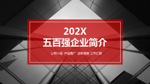 五百强企业简介ppt