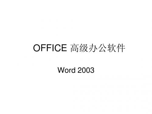 Word2003讲解