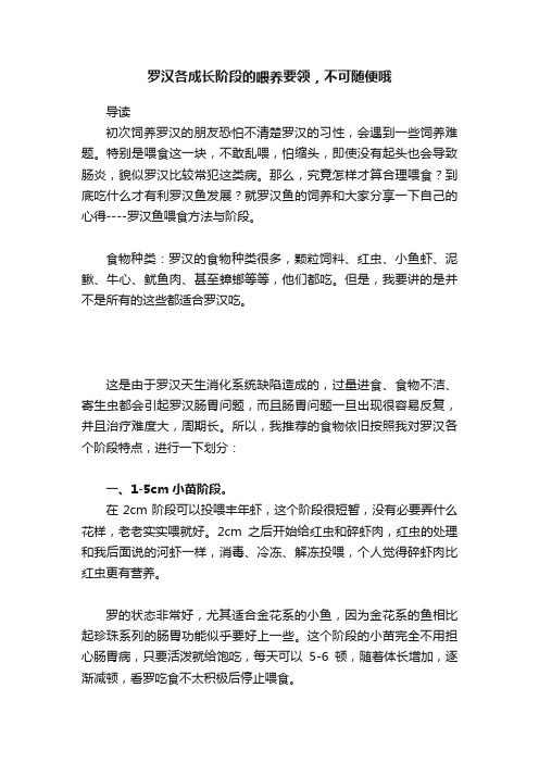 罗汉各成长阶段的喂养要领，不可随便哦