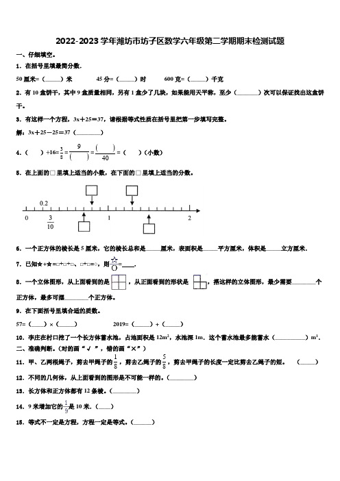 2022-2023学年潍坊市坊子区数学六年级第二学期期末检测试题含解析