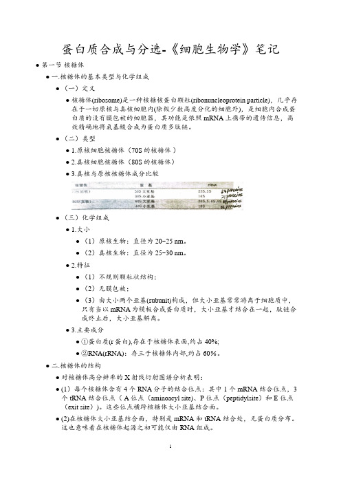 蛋白质合成与分选-《细胞生物学》笔记