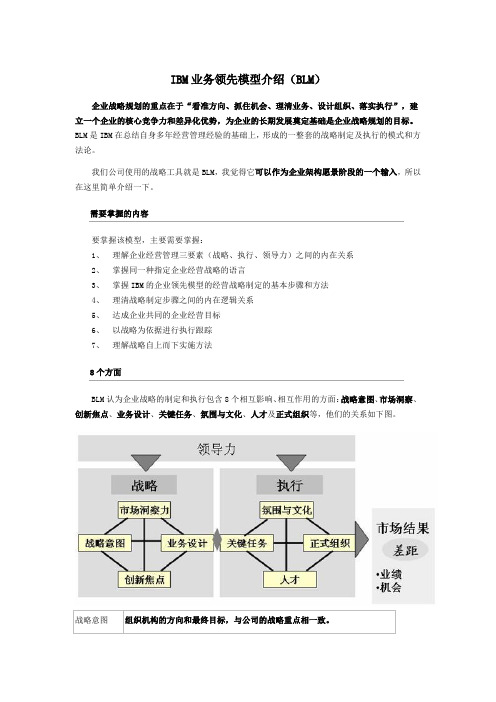 IBM业务领先模型介绍(BLM)