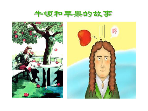 华师大版 八年级 科学 上册 第一章 第三节 几种常见的力(25张PPT)