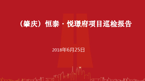 XX项目巡检报告 ppt课件