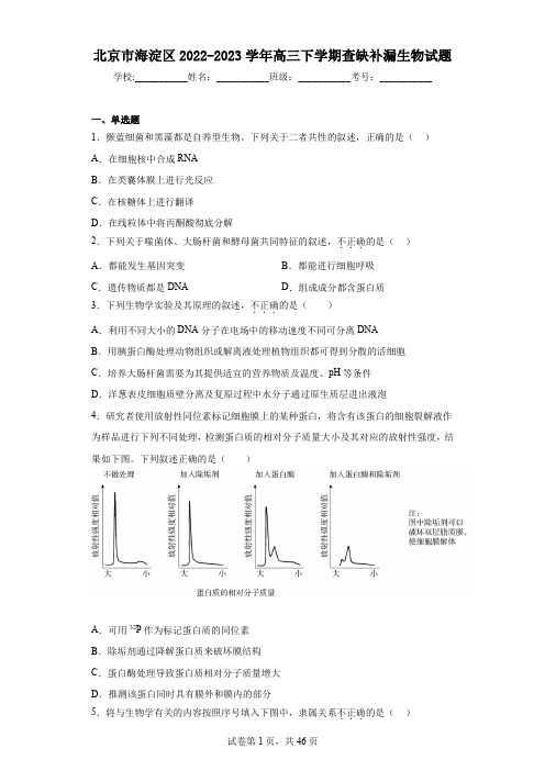 北京市海淀区2022-2023学年高三下学期查缺补漏生物试题(含答案)