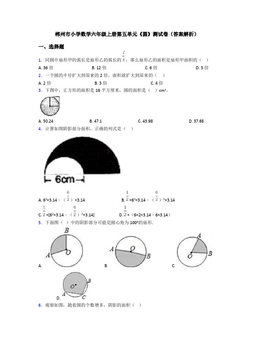 郴州市小学数学六年级上册第五单元《圆》测试卷(答案解析)