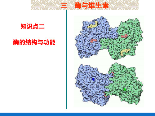 酶与维生素—酶的结构与功能(生物化学课件)