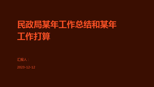 民政局某年工作总结和某年工作打算