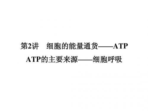 2015届高考生物总复习 1-3-2 细胞的能量通货 ATP ATP的主要来源 细胞呼吸课件