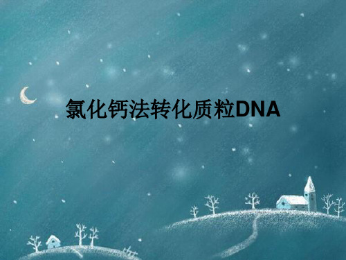 氯化钙法转化质粒DNA