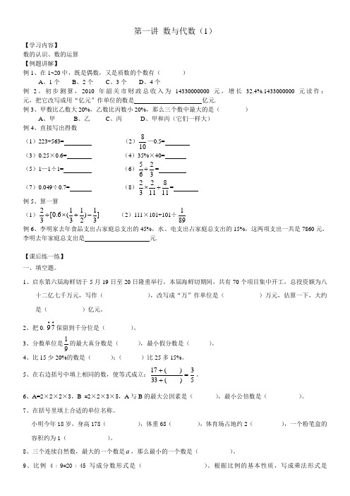 第一讲 数与代数(1)