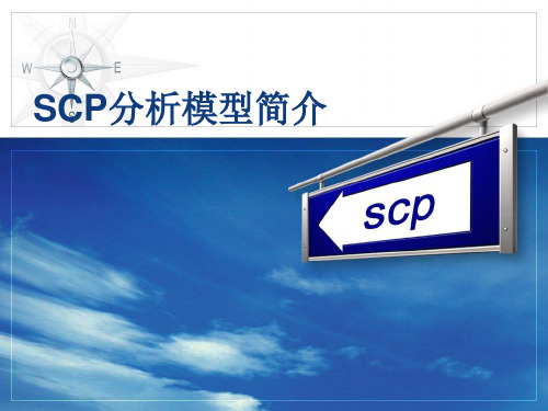 SCP分析模型简介