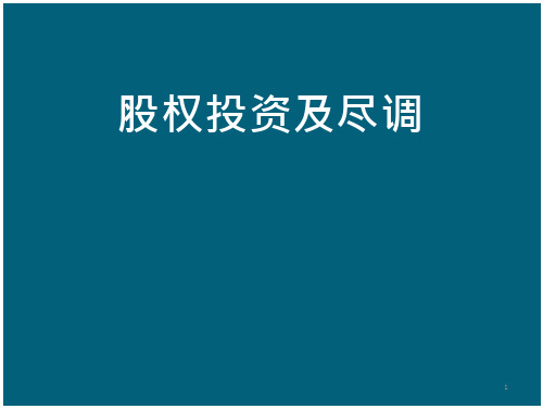 私募股权投资_(PE)探索