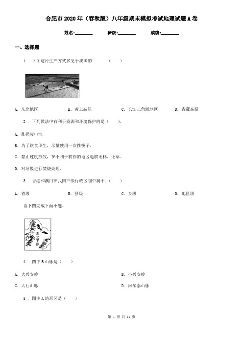 合肥市2020年(春秋版)八年级期末模拟考试地理试题A卷