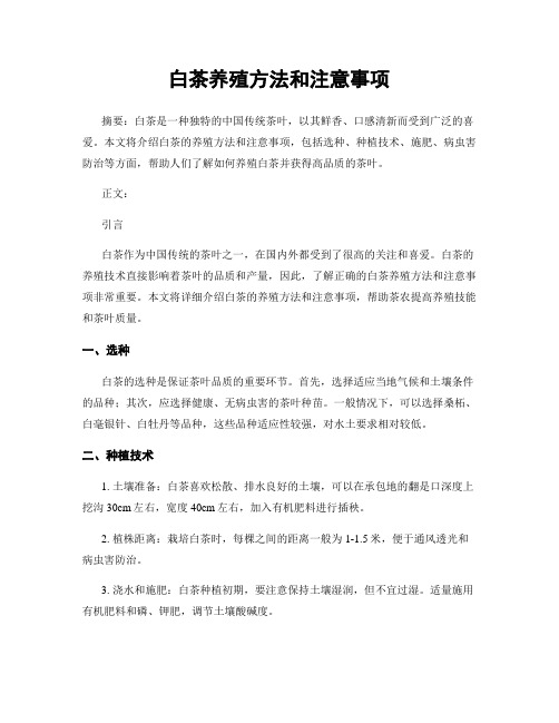 白茶养殖方法和注意事项