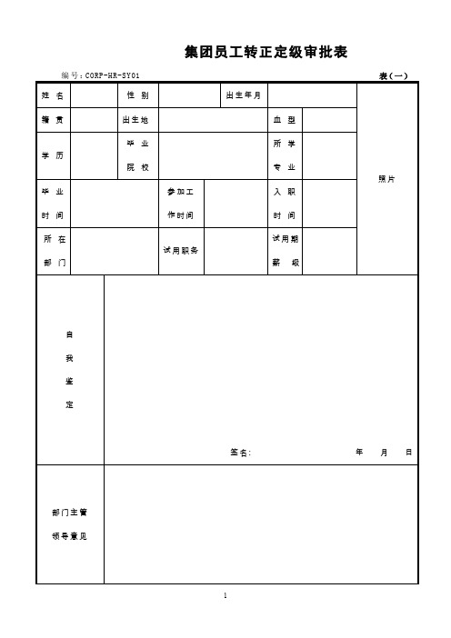 石油集团股份有限公司员工转正定级审批表(WORD4页)