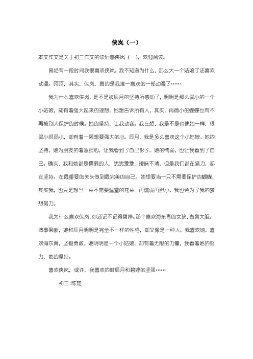 初中初三作文读后感：侠岚(一)