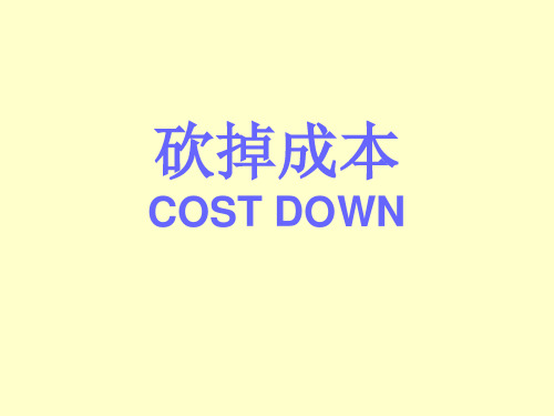 砍掉成本-COST DOWN