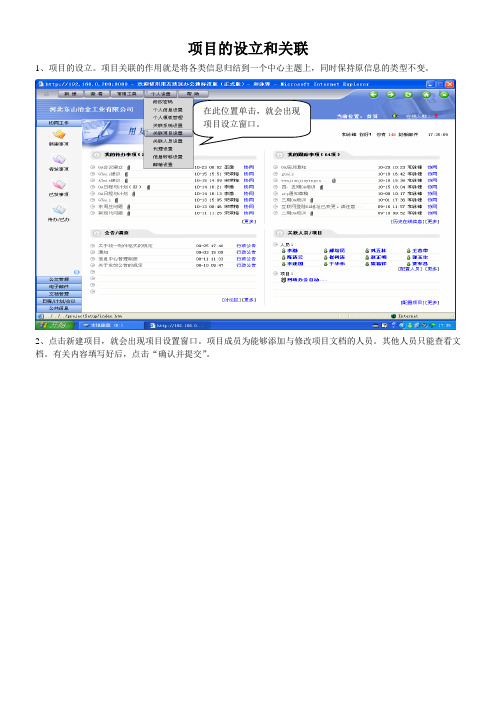 项目的设立和关联