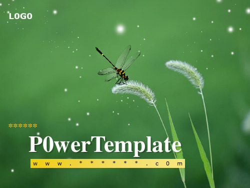 398TGp_dragonfly_dark_ani动态简约实用ppt模板